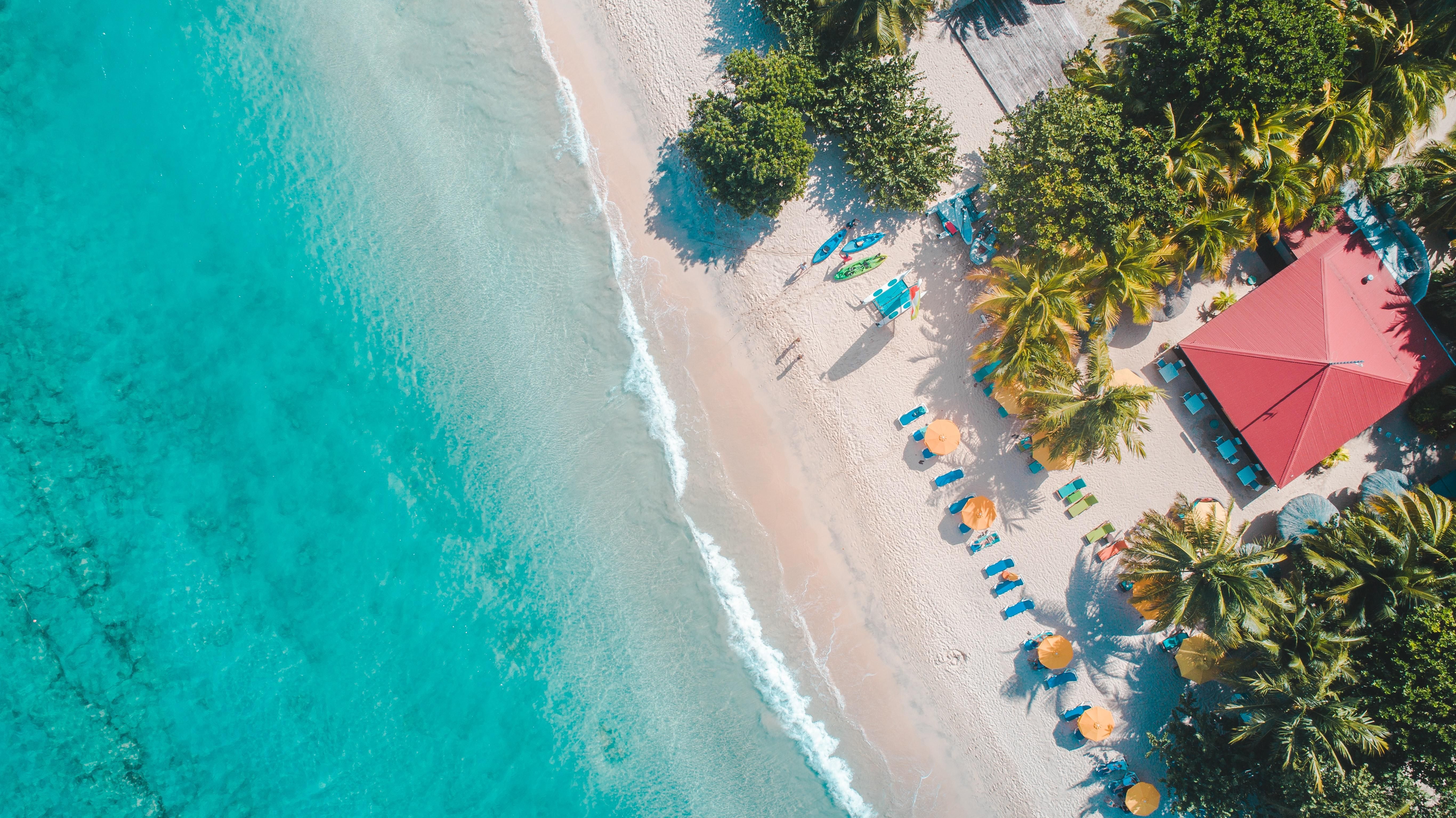 Канары, Барбадос или Мальдивы: 7 стран для летнего отдыха зимой - Отпуск