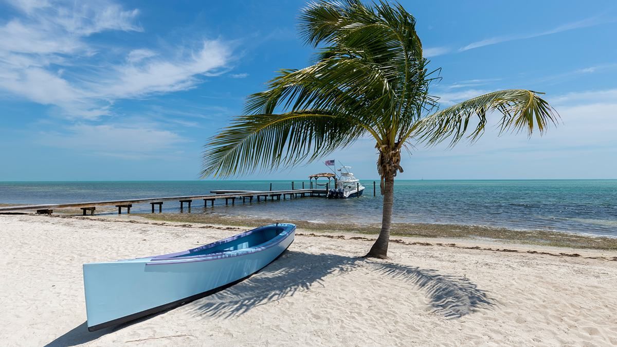 Чому слово"Сейшели" вважають синонімом до насолоди життям: деталі про кожен із райських островів - Відпустка Чому слово"Сейшели" вважають синонімом до насолоди життям: деталі про кожен із райських островів - Відпустка
