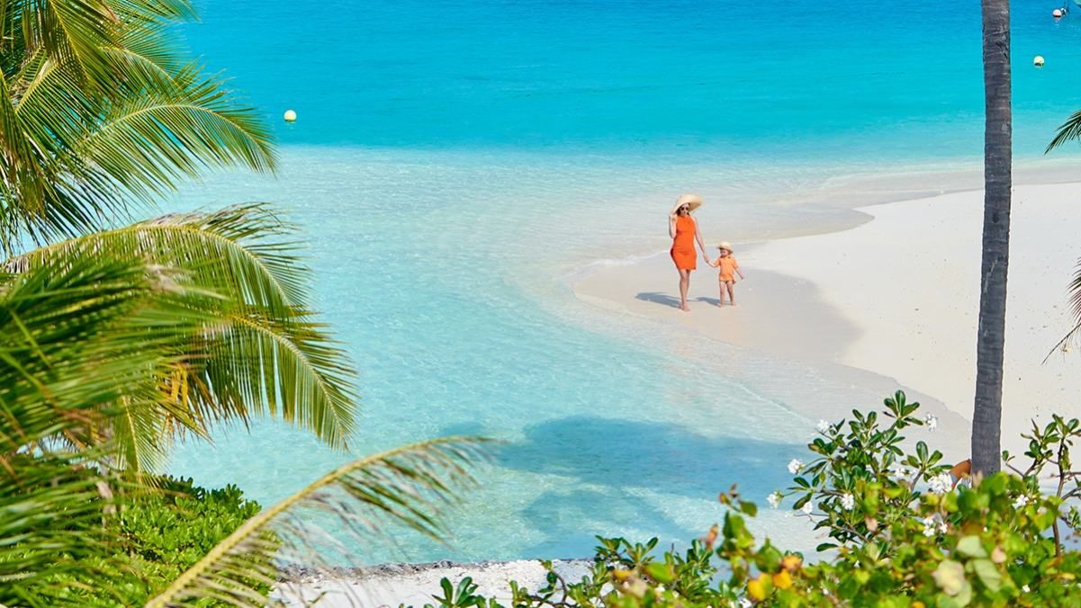 Відпочинок, наче у рекламі: як організувати райську подорож на Мальдіви - Відпустка