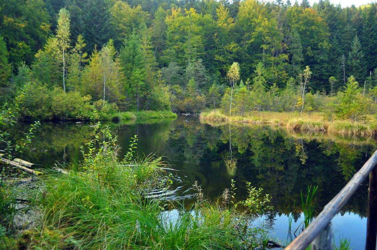 Брошенное село и "мертвое" озеро: какие локации в Карпатах считают мистическими - Отпуск Брошенное село и "мертвое" озеро: какие локации в Карпатах считают мистическими - Отпуск