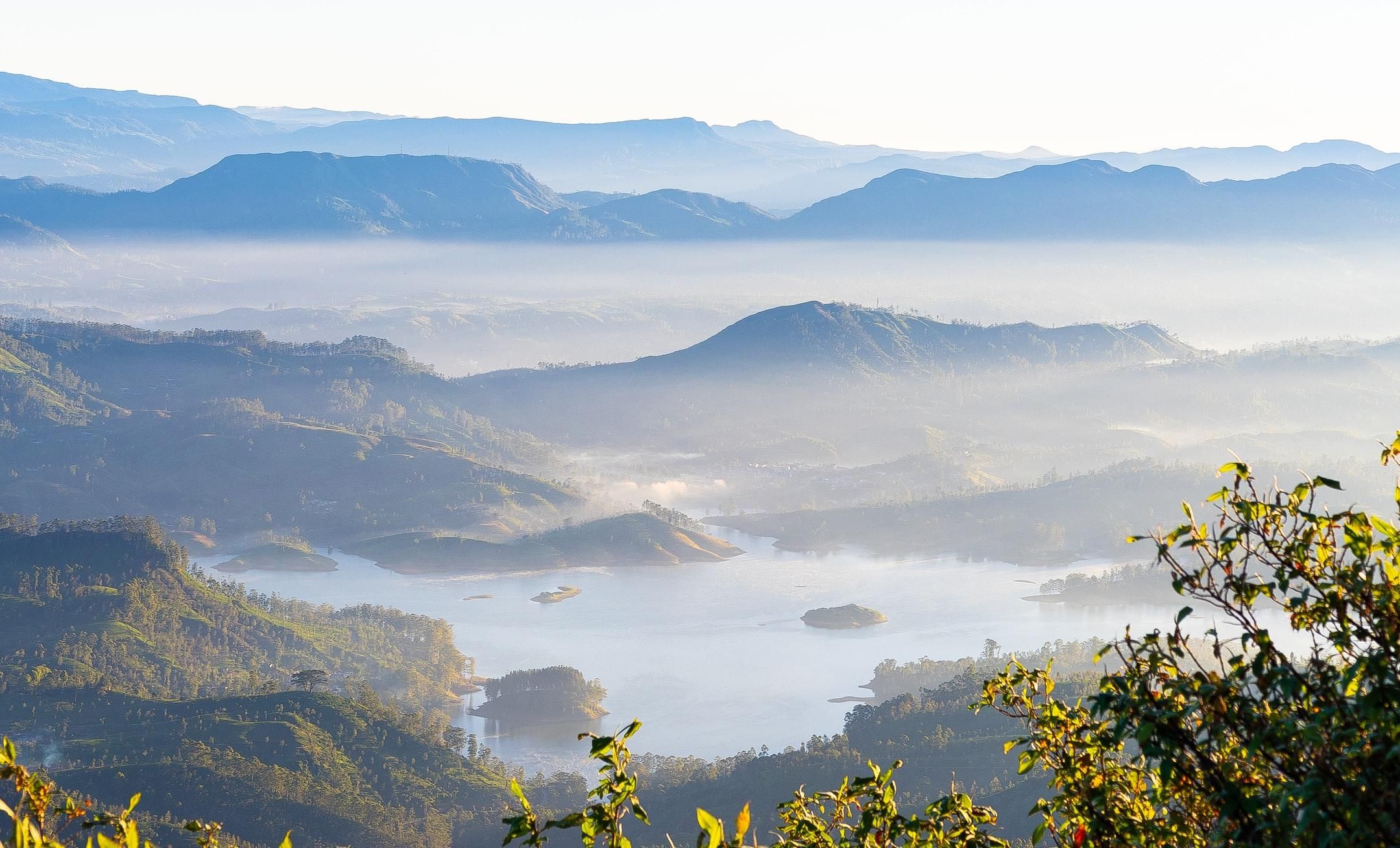 Особенности отдыха на Шри-Ланке: что взять с собой и каких животных избегать - Отпуск Особенности отдыха на Шри-Ланке: что взять с собой и каких животных избегать - Отпуск