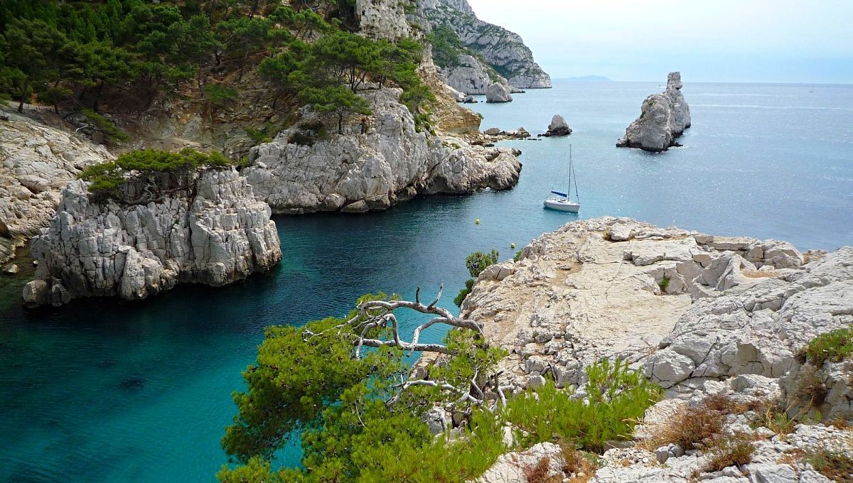 Вход по пропускам: в Марселе ограничат количество посетителей знаменитого пляжа - Отпуск Вход по пропускам: в Марселе ограничат количество посетителей знаменитого пляжа - Отпуск