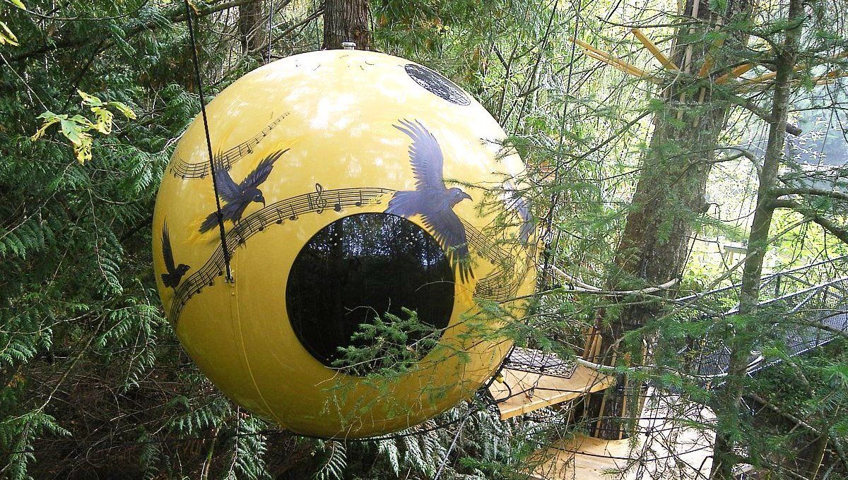 Яскрава куля на дереві: в Канаді туристам пропонують ніч в казковому готелі - Відпустка