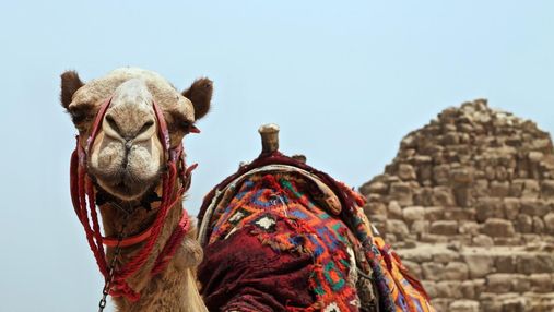 За межами All Inclusive: 15 цікавих фото, які покажуть Єгипет з іншого боку