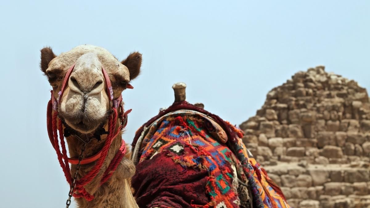 За пределами All Inclusive: 15 интересных фото, которые покажут Египет с другой стороны - Отпуск